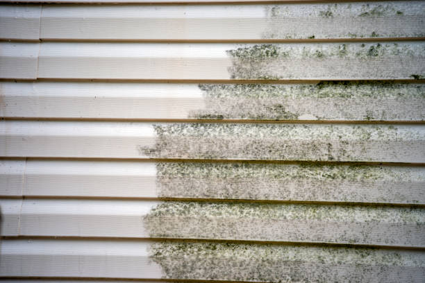 Best Siding for New Construction  in Woodville, AL