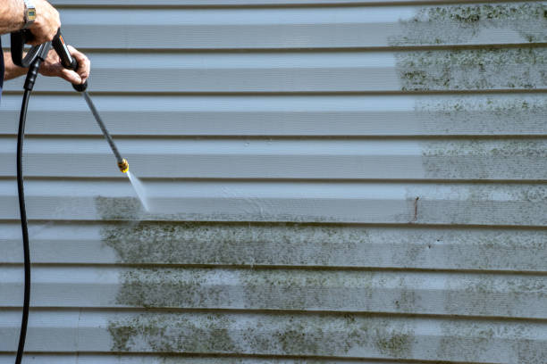 Best Fascia and Soffit Installation  in Woodville, AL