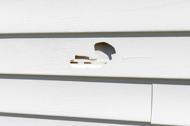 Best Steel Siding Installation  in Woodville, AL
